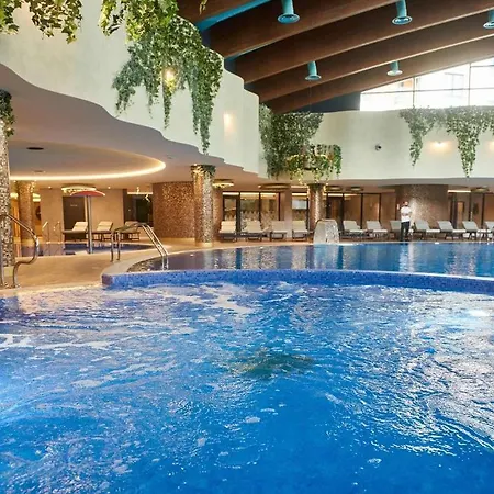Velika Recepcija 26 *